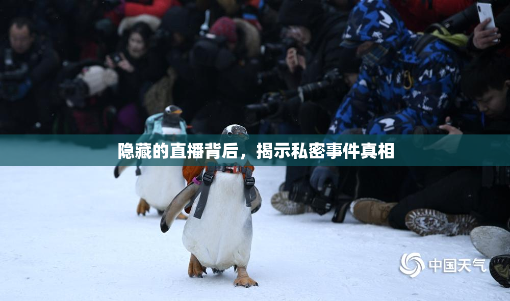 隐藏的直播背后，揭示私密事件真相