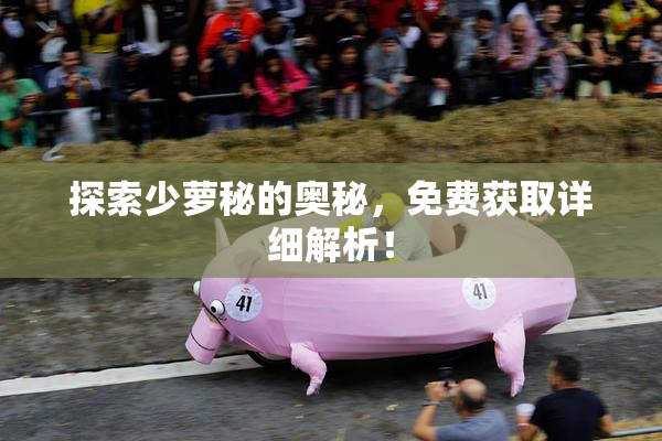探索少萝秘的奥秘，免费获取详细解析！