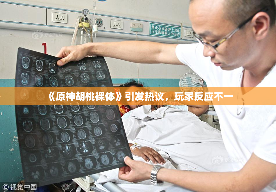《原神胡桃裸体》引发热议，玩家反应不一