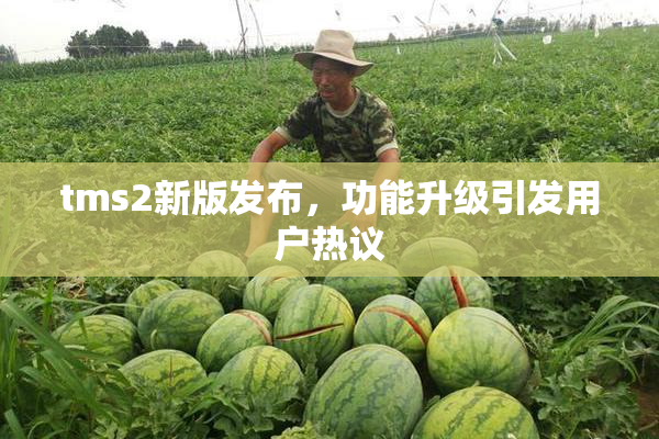 tms2新版发布，功能升级引发用户热议
