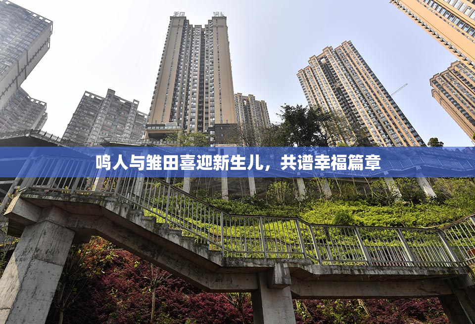 鸣人与雏田喜迎新生儿，共谱幸福篇章