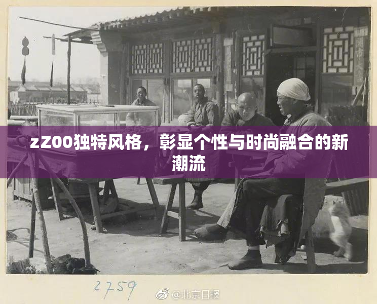 zZ00独特风格，彰显个性与时尚融合的新潮流