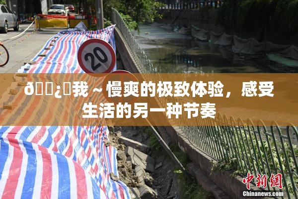 🌿‌我～慢爽的极致体验，感受生活的另一种节奏