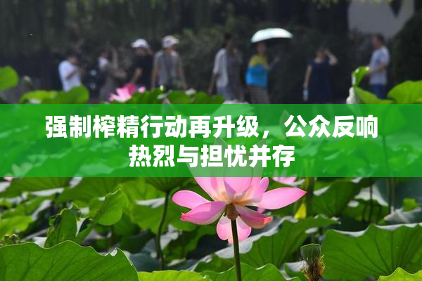强制榨精行动再升级，公众反响热烈与担忧并存