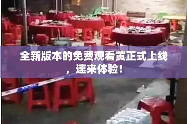全新版本的免费观看黄正式上线，速来体验！