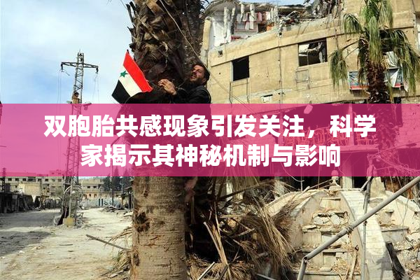 双胞胎共感现象引发关注，科学家揭示其神秘机制与影响