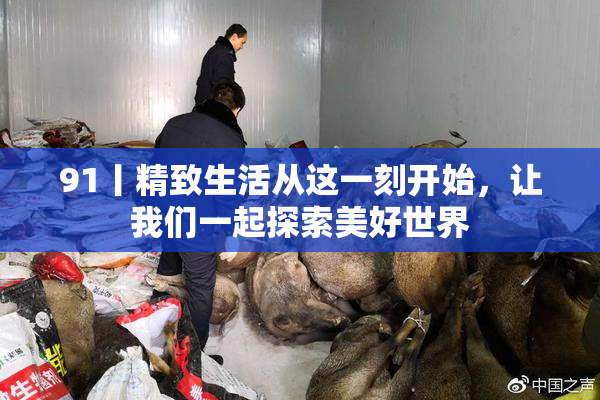 91丨精致生活从这一刻开始，让我们一起探索美好世界