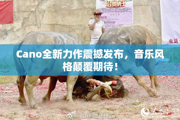 Cano全新力作震撼发布，音乐风格颠覆期待！