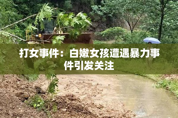 打女事件：白嫩女孩遭遇暴力事件引发关注
