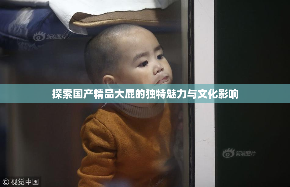 探索国产精品大屁的独特魅力与文化影响