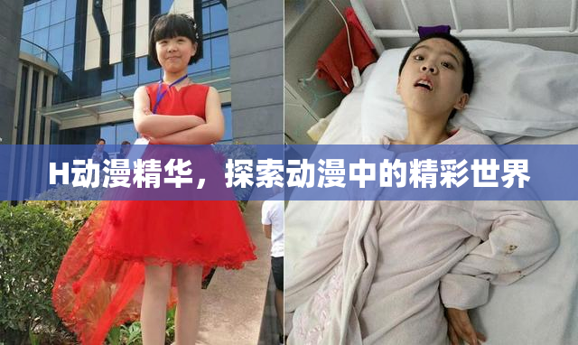 H动漫精华，探索动漫中的精彩世界