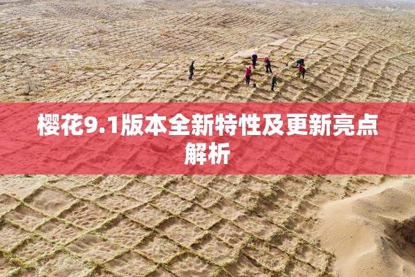 樱花9.1版本全新特性及更新亮点解析