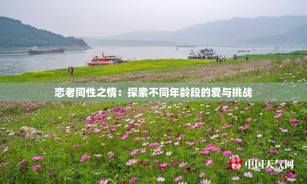 恋老同性之情：探索不同年龄段的爱与挑战