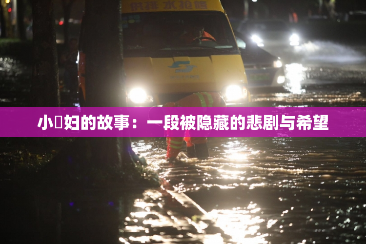 小婬妇的故事：一段被隐藏的悲剧与希望