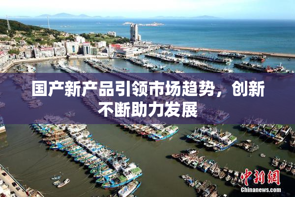 国产新产品引领市场趋势，创新不断助力发展