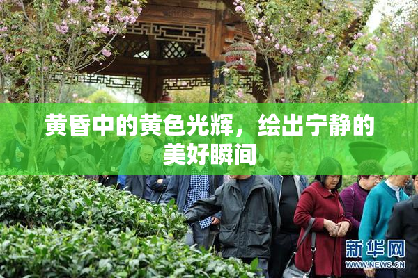黄昏中的黄色光辉，绘出宁静的美好瞬间