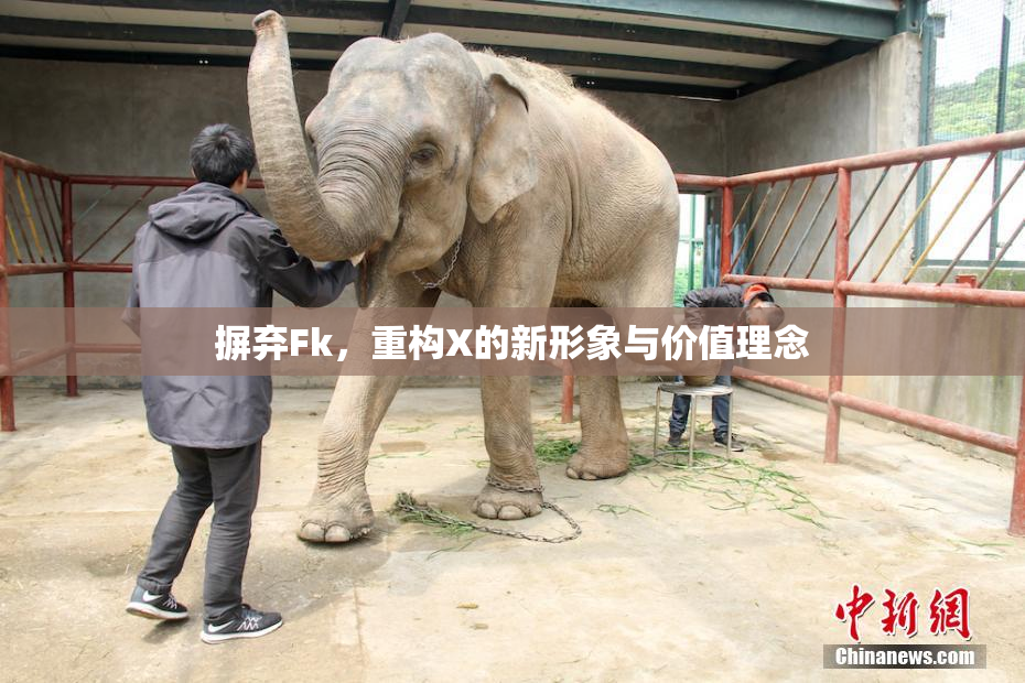 摒弃Fk，重构X的新形象与价值理念