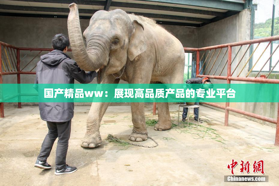 国产精品ww：展现高品质产品的专业平台