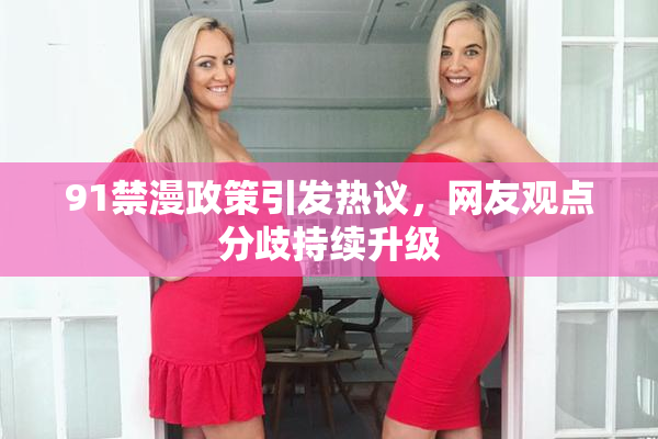 91禁漫政策引发热议，网友观点分歧持续升级
