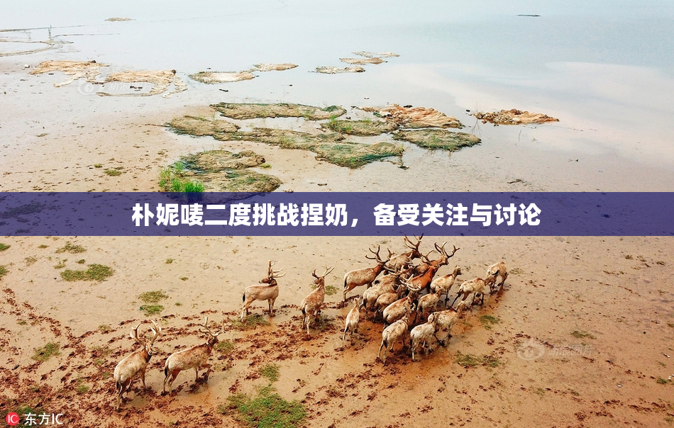 朴妮唛二度挑战捏奶，备受关注与讨论