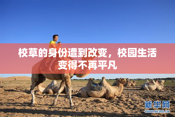 校草的身份遭到改变，校园生活变得不再平凡