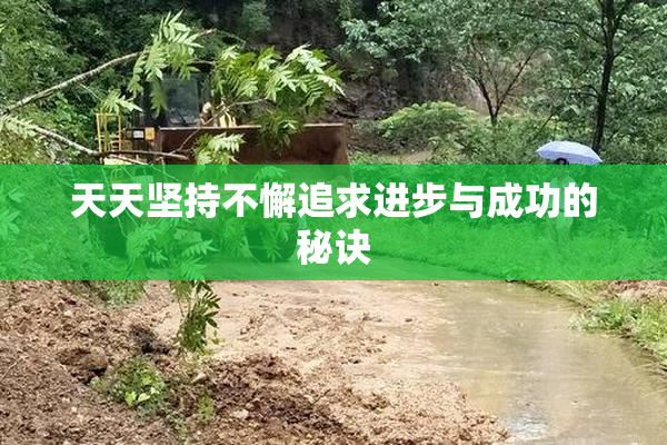 天天坚持不懈追求进步与成功的秘诀