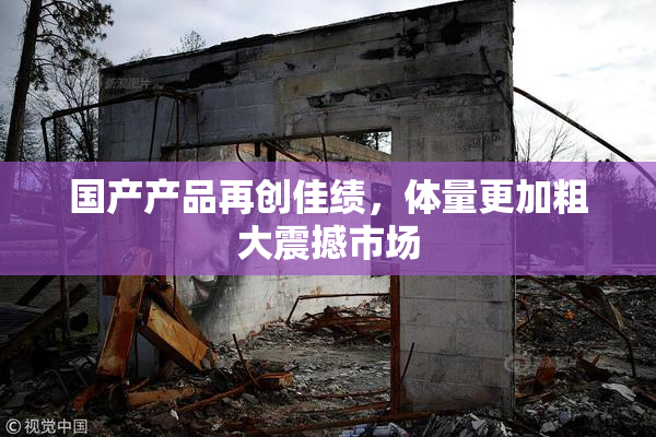 国产产品再创佳绩，体量更加粗大震撼市场