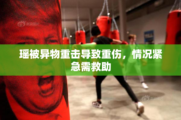 瑶被异物重击导致重伤，情况紧急需救助
