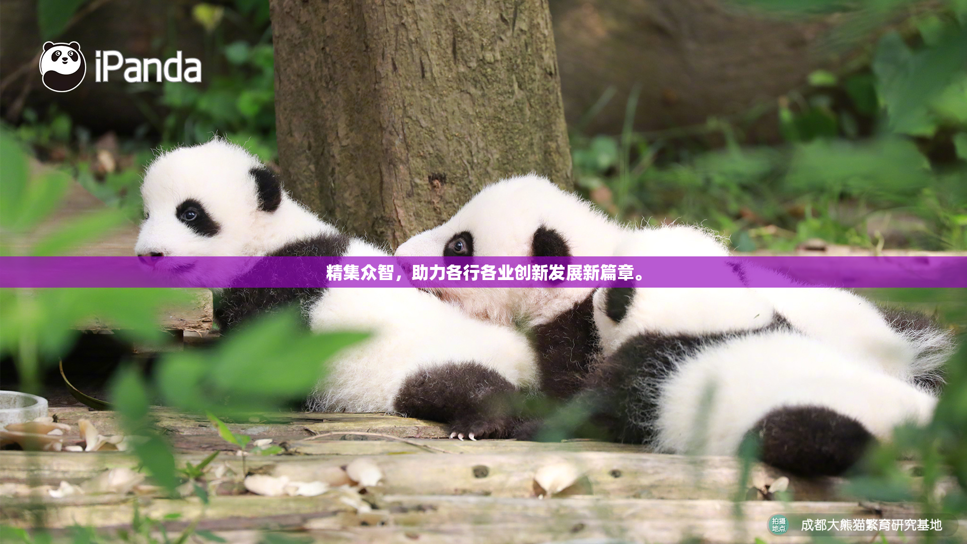 精集众智，助力各行各业创新发展新篇章。