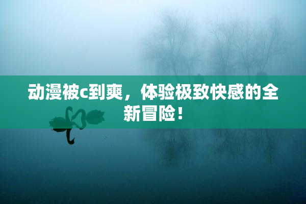 动漫被c到爽，体验极致快感的全新冒险！