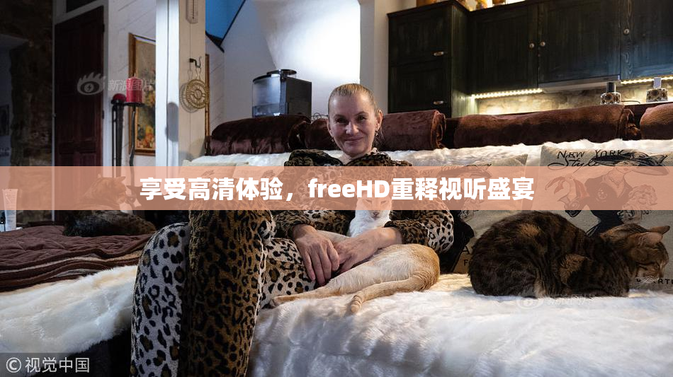 享受高清体验，freeHD重释视听盛宴