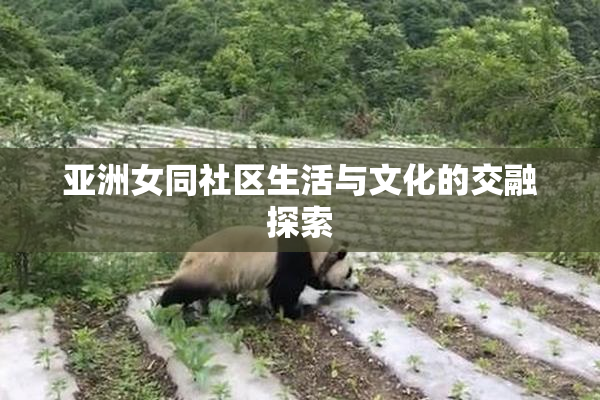 亚洲女同社区生活与文化的交融探索