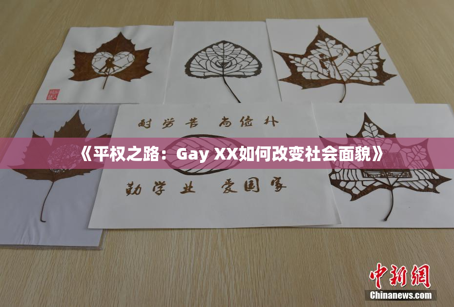 《平权之路：Gay XX如何改变社会面貌》