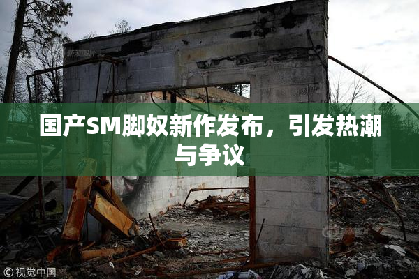 国产SM脚奴新作发布，引发热潮与争议