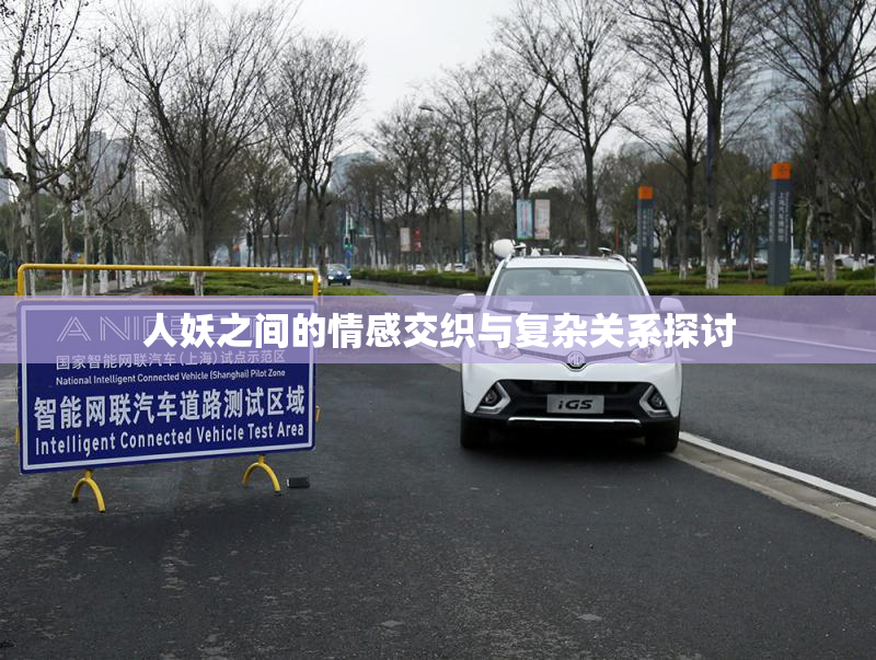 人妖之间的情感交织与复杂关系探讨