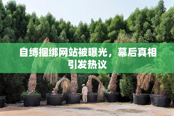 自缚捆绑网站被曝光，幕后真相引发热议