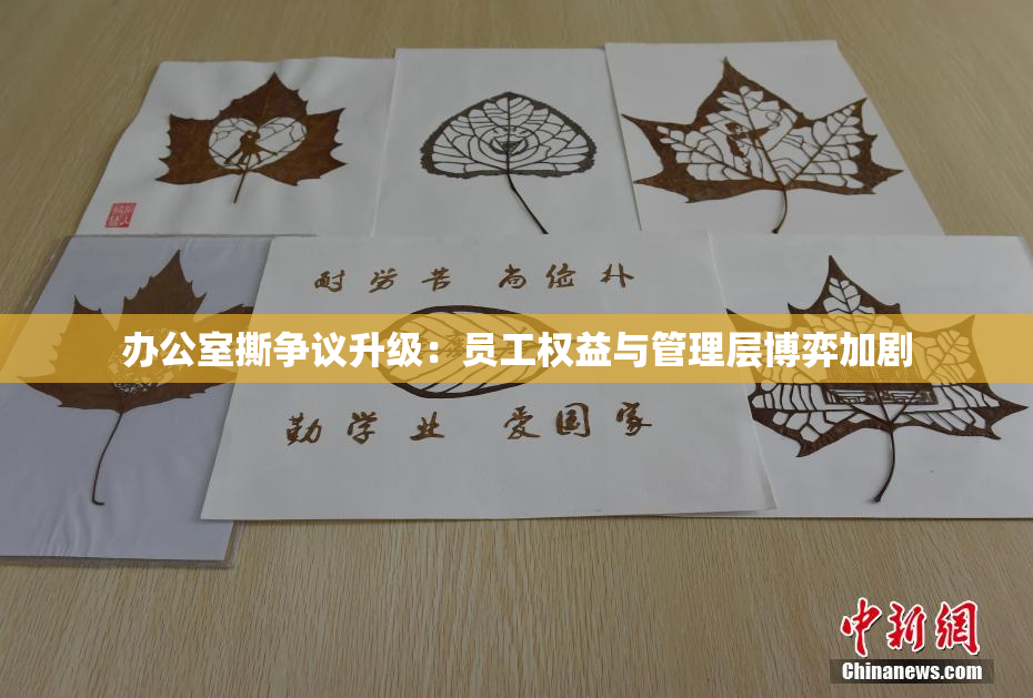 办公室撕争议升级：员工权益与管理层博弈加剧