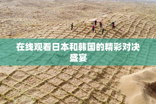 在线观看日本和韩国的精彩对决盛宴