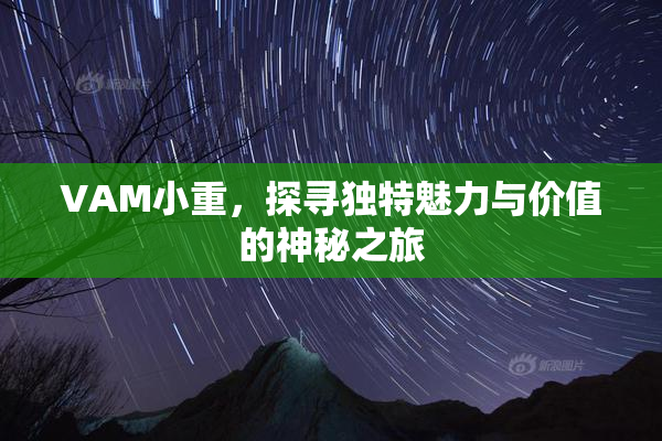 VAM小重，探寻独特魅力与价值的神秘之旅
