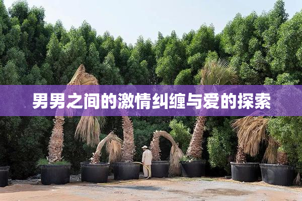 男男之间的激情纠缠与爱的探索