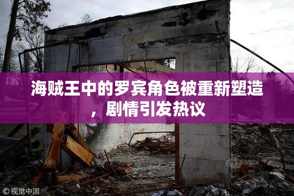 海贼王中的罗宾角色被重新塑造，剧情引发热议