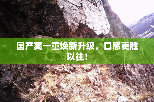 国产爽一重焕新升级，口感更胜以往！
