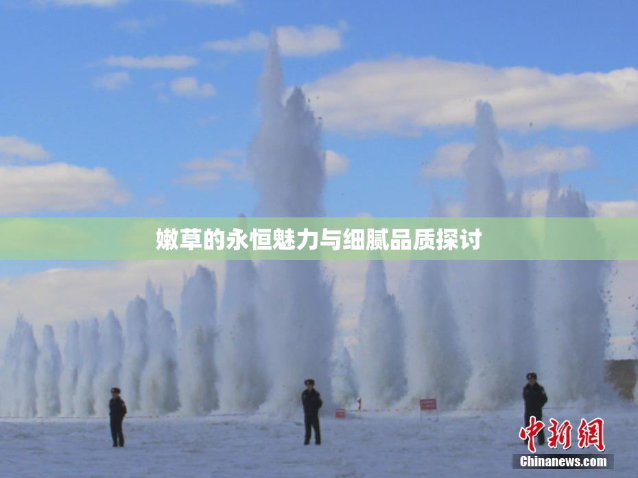 嫩草的永恒魅力与细腻品质探讨