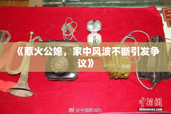 《惹火公媳，家中风波不断引发争议》