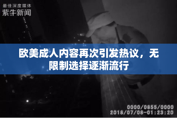 欧美成人内容再次引发热议，无限制选择逐渐流行