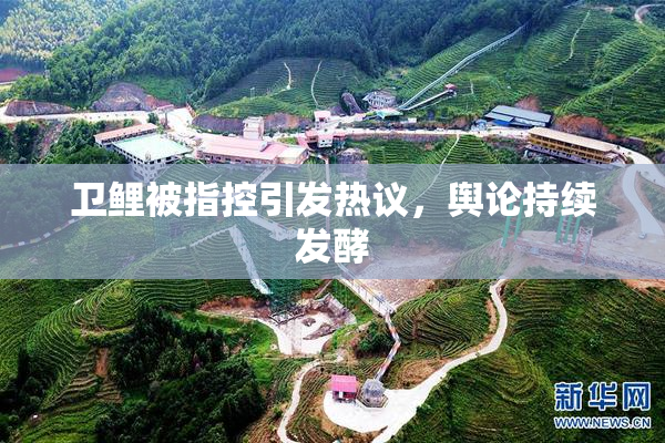 卫鲤被指控引发热议，舆论持续发酵
