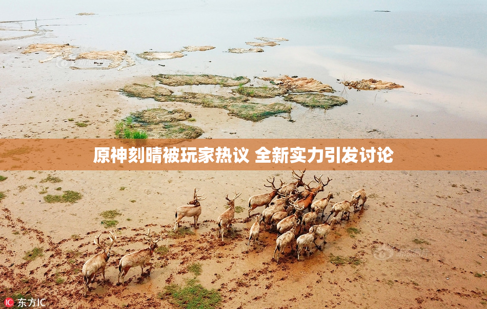 原神刻晴被玩家热议 全新实力引发讨论