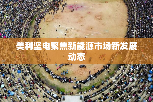 美利坚电聚焦新能源市场新发展动态