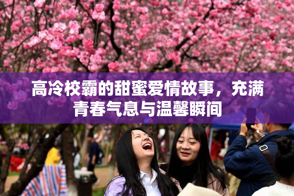 高冷校霸的甜蜜爱情故事，充满青春气息与温馨瞬间