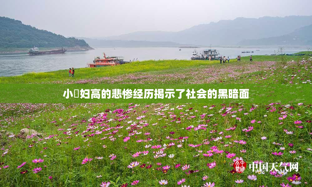 小婬妇高的悲惨经历揭示了社会的黑暗面